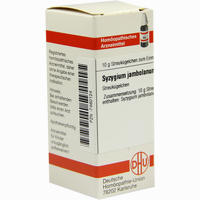 Syzygium Jambolanum C30 Globuli 10 g