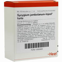 Syzygium Jambolanum- Injeel Forte Ampullen 10 Stück