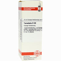 Tarantula D30 Dilution 20 ml