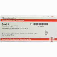 Thuja D4 Ampullen 10 x 1 ml