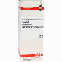 Thuja D6 Dilution 50 ml