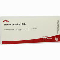 Thymus (glandula) Gl D4 Ampullen 10 x 1 ml