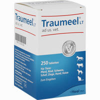 Traumeel Lt Ad Us. Vet. Tabletten 250 Stück