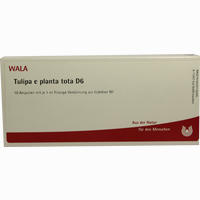 Tulipa E Planta Tota D6 Ampullen 10 x 1 ml