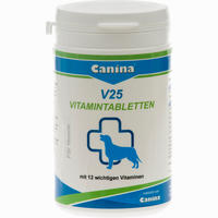 V25 Vitamin 200 g