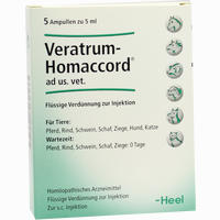 Veratrum Homaccord Vet. Ampullen 5 Stück