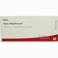 Vesica Fellea/ferrum Ii Ampullen 10 x 1 ml