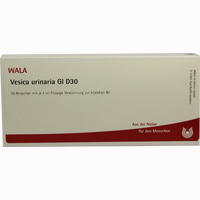 Vesica Urinaria Gl D30 Ampullen 10 x 1 ml