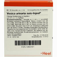 Vesica Urinaria Suis - Injeel Ampullen 10 Stück