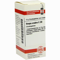 Vespa Crabro C30 Globuli 10 g