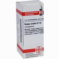Vespa Crabro D12 Globuli 10 g