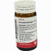 Viscum/crataegus Globuli 20 g