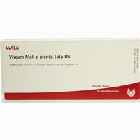 Viscum Mali E Pl Tota D6 Ampullen 10 x 1 ml