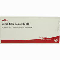 Viscum Pini E Planta Tota D60 Ampullen 10 x 1 ml
