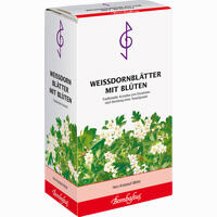 Weißdornblütter mit Blüten Tee 90 g