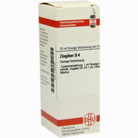 Zingiber D4 Dilution 20 ml