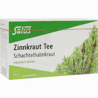 Zinnkraut Tee Schachtelhalmkraut Salus Filterbeutel 15 Stück