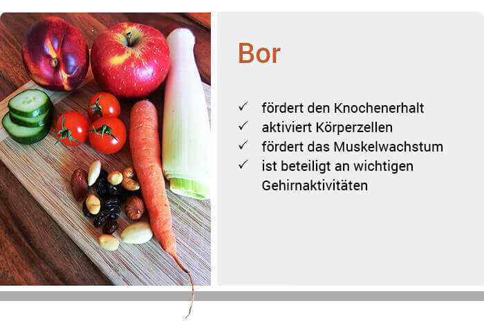 Funktionen von Bor