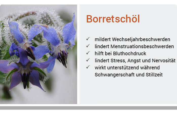 Anwendungsgebiete von Borretschöl