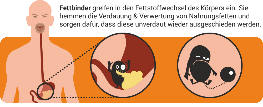 Fettbinder binde Nahrungsfette - diese werden unverdaut ausgeschieden