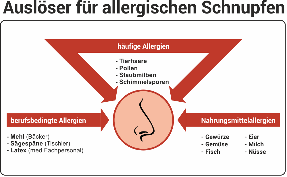 Allergischer Schnupfen-Ratgeber | Hilfe & Behandlung Altmark-Apotheke Stendal