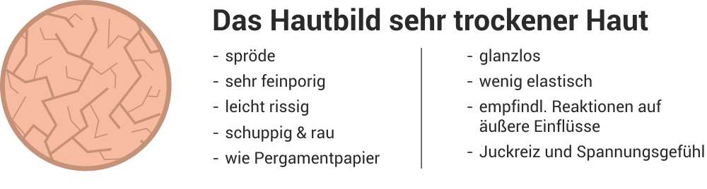 Hautbild bei sehr trockener Haut