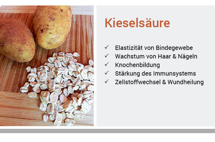 Kieselsäure (Silizium) Mangel erkennen & vorbeugen AltmarkApotheke