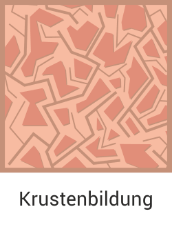 Krustenbildung