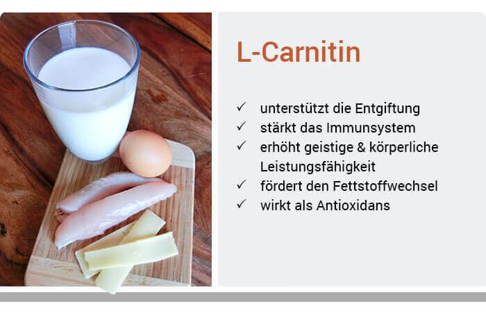 L-Carnitin-Ratgeber | Anwendung & Wirkung Victoria-Apotheke Magdeburg L-Carnitin-Ratgeber | Anwendung & Wirkung Victoria-Apotheke Magdeburg