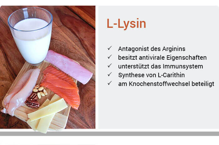 L Lysin Mangel Erkennen Behandeln Vorbeugen Markt Apotheke Bredstedt L Lysin Mangel Erkennen Behandeln Vorbeugen Markt Apotheke Bredstedt