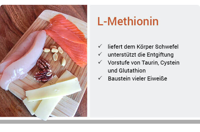 acetyl-l-carnitine depression reviews acetyl l carnitine metabolism Acetyl-L-carnitine physical-chemical, metabolic, and therapeutic properties: relevance for its mode of action in Alzheimer's disease and geriatric depression acetyl-l-carnitine depression reviews acetyl l carnitine metabolism Acetyl-L-carnitine physical-chemical, metabolic, and therapeutic properties: relevance for its mode of action in Alzheimer's disease and geriatric depression