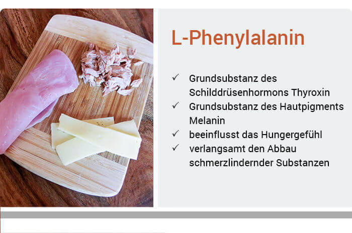 L Phenylalanin L Tyrosin Ratgeber Medica Apotheke Kiel L Phenylalanin L Tyrosin Ratgeber Medica Apotheke Kiel