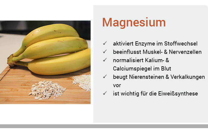 Magnesium Ratgeber Magnesiummangel Behandeln Wolfs Apotheke Bredstedt Magnesium Ratgeber Magnesiummangel Behandeln Wolfs Apotheke Bredstedt