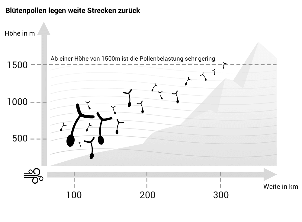 Pollenbelastung in bestimmter Höhenlage