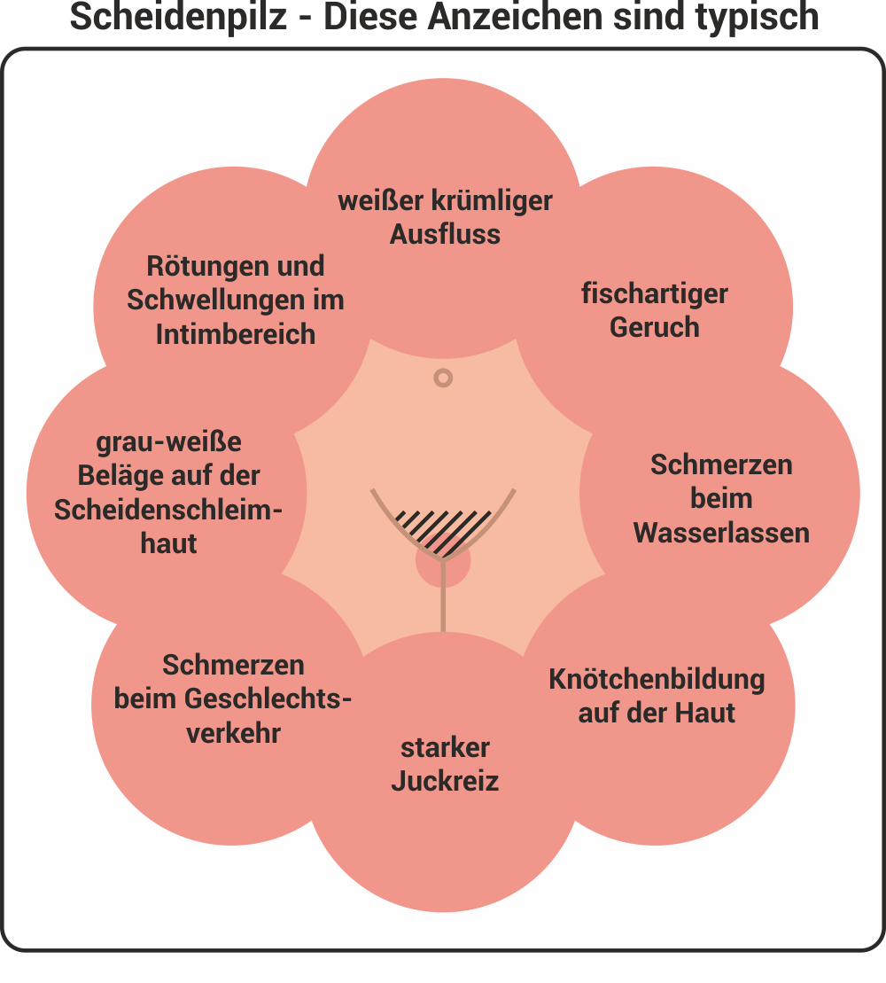 In der scheide schwellung Was es