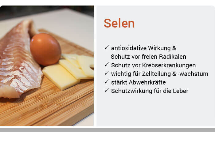 Selen-Ratgeber | Selenmangel erkennen & behandeln Hirsch Apotheke