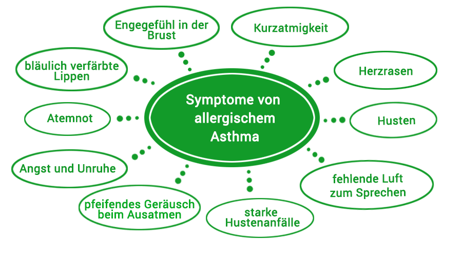 Hilfe Bei Allergischem Asthma Ratgeber Wolfs Apotheke Bredstedt Hilfe Bei Allergischem Asthma Ratgeber Wolfs Apotheke Bredstedt