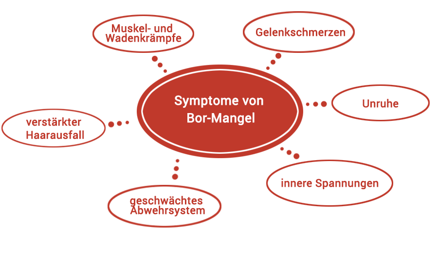 Symptome von Bor-Mangel