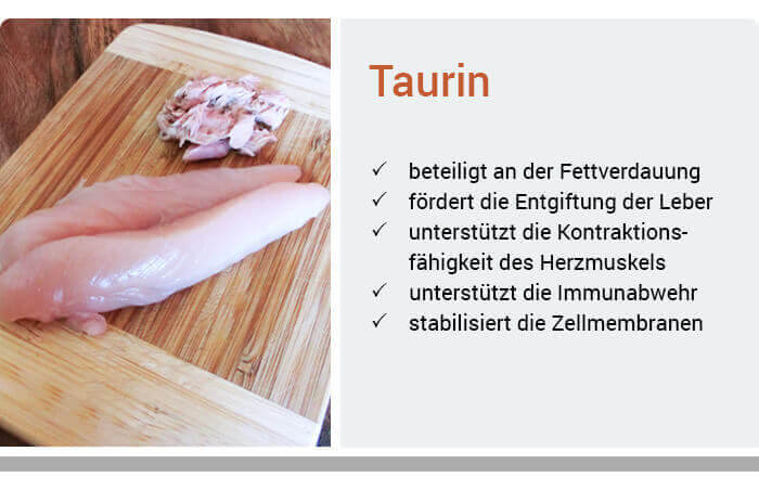 Taurin-Ratgeber | Anwendung & Wirkung Wolfs Apotheke Bredstedt