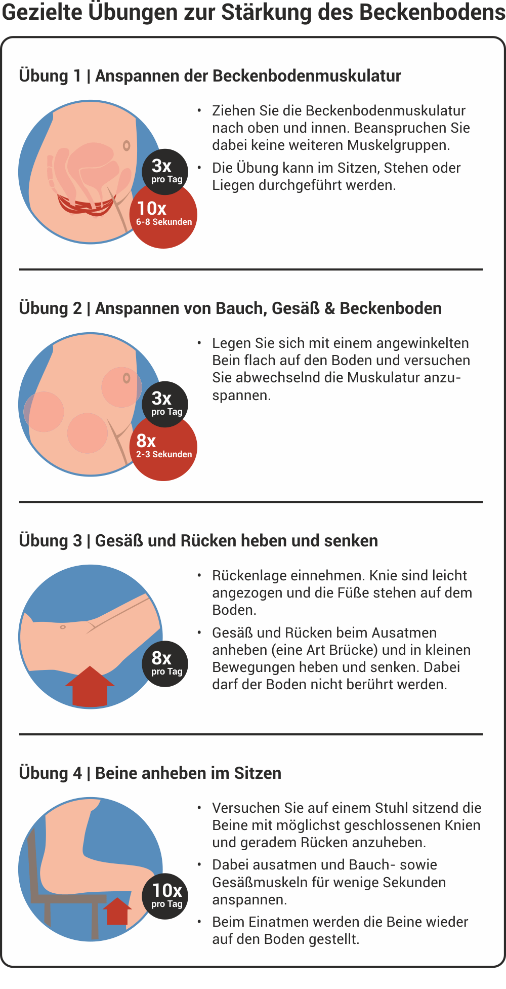 Beckenboden Starken Mit Den Richtigen Beckenbodenubungen Markt Apotheke Bredstedt Beckenboden Starken Mit Den Richtigen Beckenbodenubungen Markt Apotheke Bredstedt